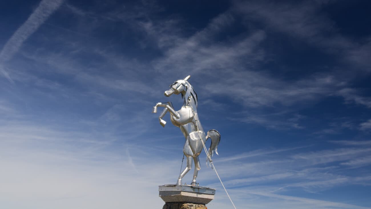 Cheval noir — Paysages · RC Photos